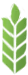 колос